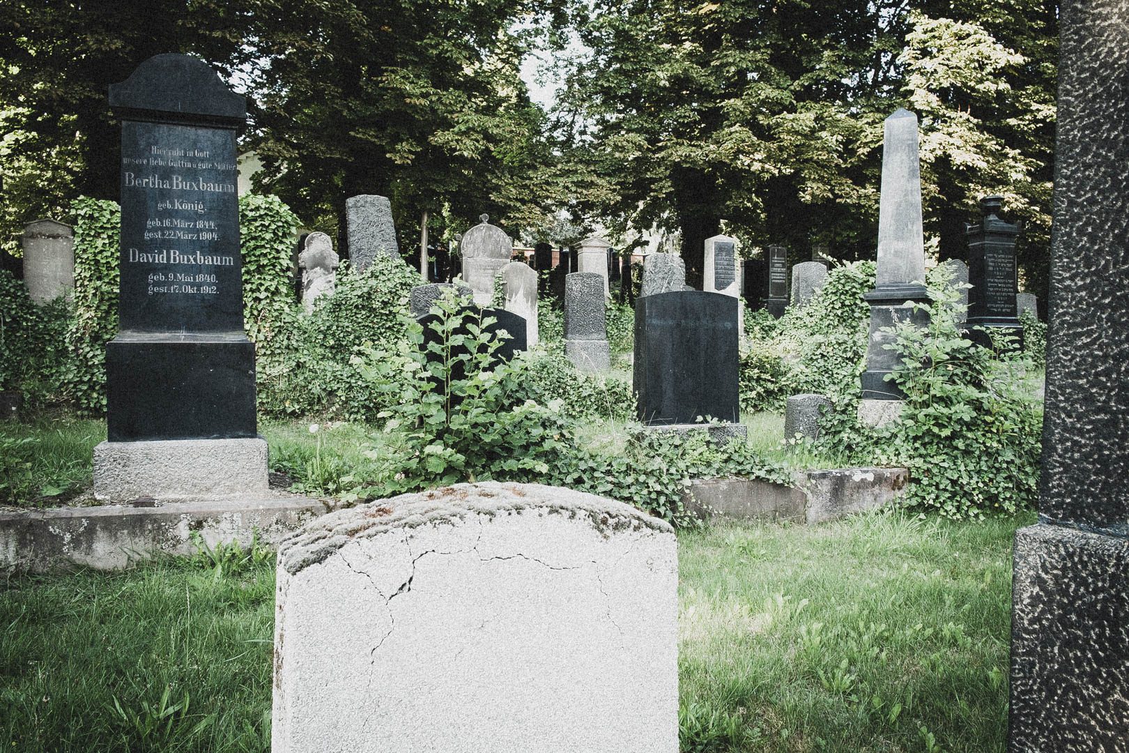 Jüdischer Friedhof Kassel-Bettenhausen
